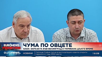 БАБХ: Чумата по овцете във Велинград е била укривана дълго време