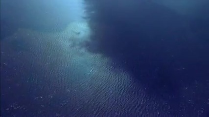 Нашата планетата е пълна с живот. 