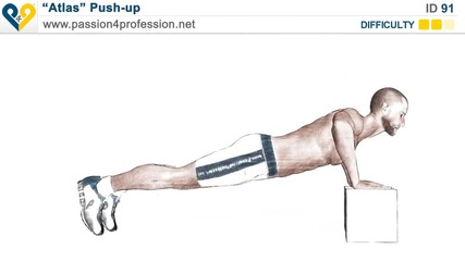Push Up Training Level 2