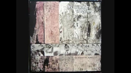 The Bizarre Orkeztra - Boy Blue 
