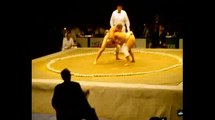Worlde Sumo Championship