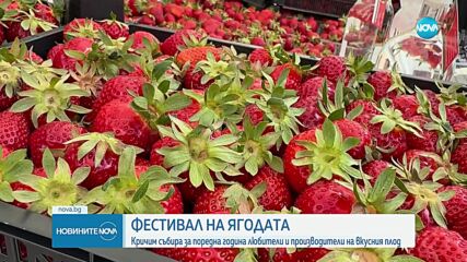 Фестивал на ягодите събра десетки производители и хиляди любители в Кричим