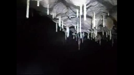 iubileina,  smqh