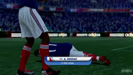 2010 Fifa World Cup South Africa - France Goal