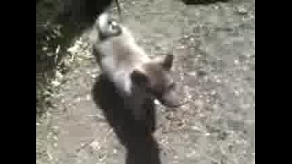 super kuche