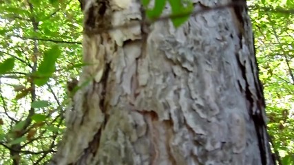 Sam_0153