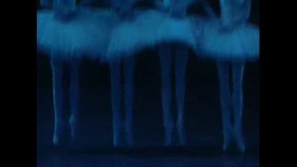 Tchaikovsky Swan Lake Ballet 