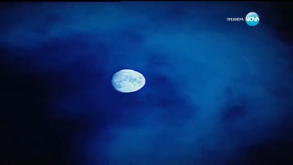 Малката булка - Епизод 1347 (02.02.2016)
