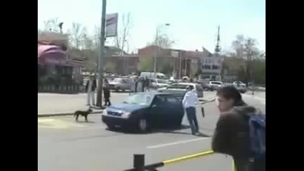 Никога не се заяждайте с куче Смях