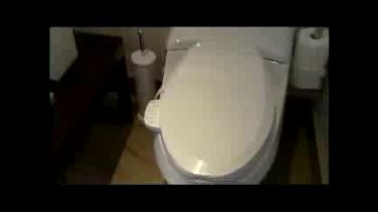 Mtv Cribs Trish Stratus