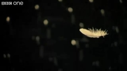 Ukraine - Angel - Eurovision Song Contest 2011 - Bbc One