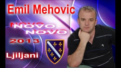 Emil Mehovic Ljiljani Livee 2013