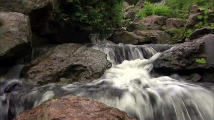 Natures Journey, Part 1 7 [hd]