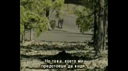 По стъпките на динозаврите(2003) - Земя на гиганти