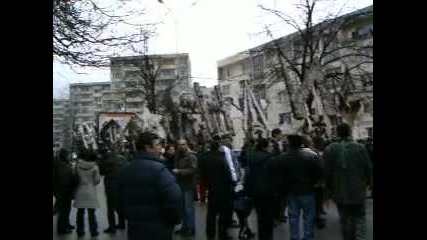 divotino