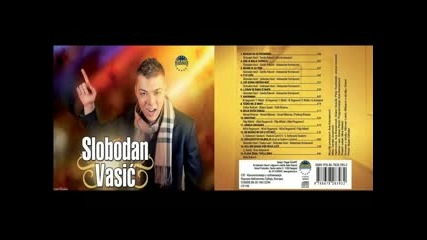 Slobodan Vasic - 2013 - Tesko me je imati (hq) (bg sub)