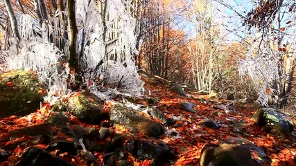 Пръскалото - чудото на Кладница