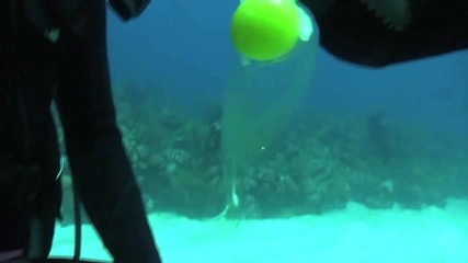 Яйце под водата