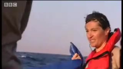 Rough crossing - Unknown Africa - Bbc wildlife 