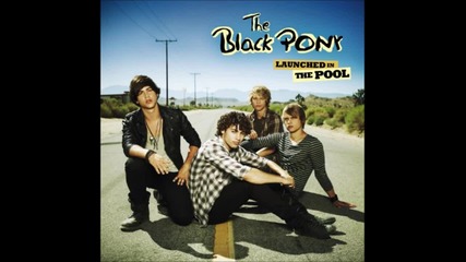 The Black Pony - Crush