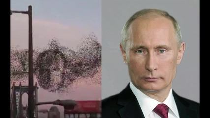 Ято птици очертаха образа на Путин над Ню Йорк