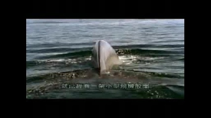 Величието на китовете в океана 