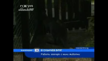 Зоопарк с Мини Мивотни