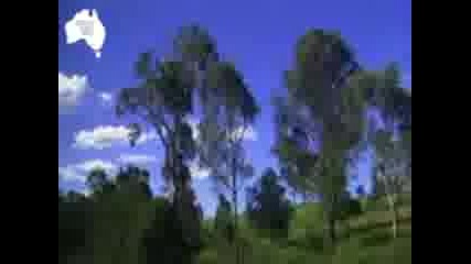 кратка екскурзия до далечна Australia