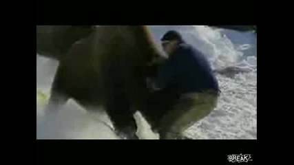 бизон напада човек