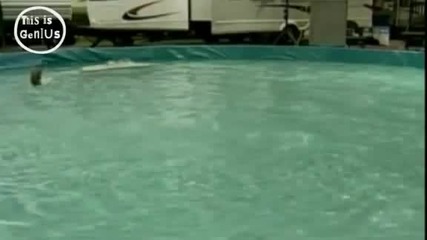 катерица кара водни ски 