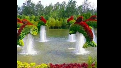 Красота - релакс