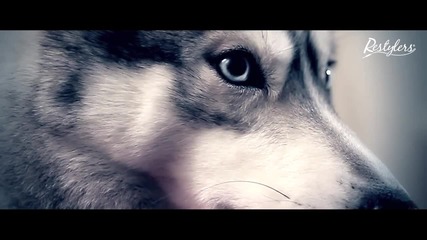 Phil Jay - I Love U [original Mix] Official Video - Version