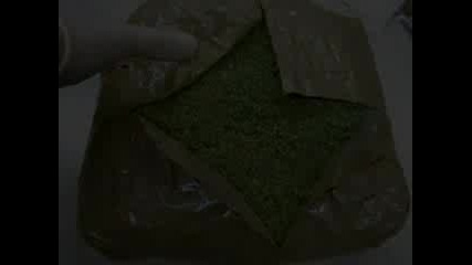 Smoke Some Weed Vbox72