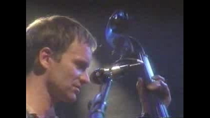 Sting - wild Wild Sea