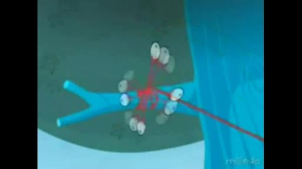 Happy Tree Friends Wmv V9.wmv