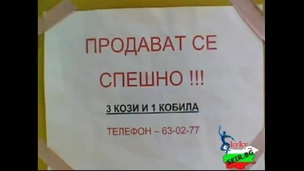 Смях 2010