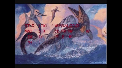 The Megalodon Shark -