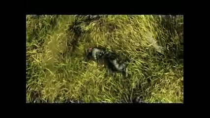 2000 баксов за сигарету -сталкер.