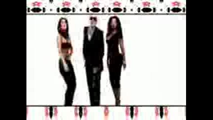 pitbull i know yon want me