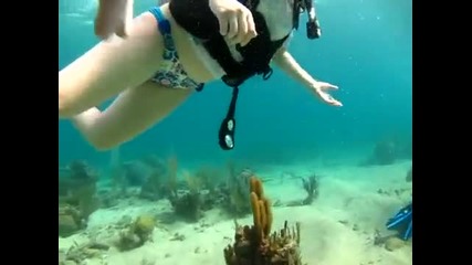 Подводно гмуркане - Карибско море 