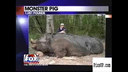 11 - годишното момче от Алабама убива близо тон прасе сред чудовищна пустош !!!