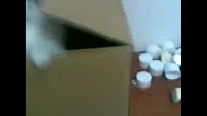 Офис Котка Екон