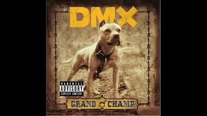 Dmx - The Rain 