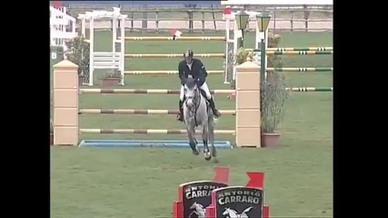 Conte ( Canturo x Corrado x Moltke) Holsteiner Stallion 2003, Italian Championship 6 y.o finale