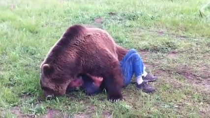 Огромна мечка мачка човек