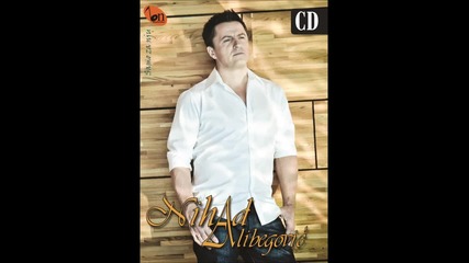 Nihad Alibegovic 2012 Mimo plana