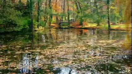 The Colors Of Autumn - Music E.cortazar