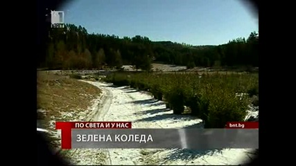 Зелена Коледа