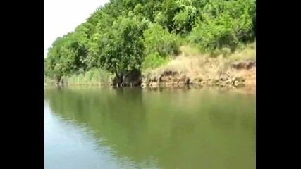 Ропотамо 