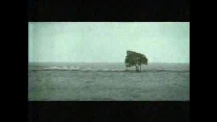 Greenpeace - Защо И Какво Пропагандира?!